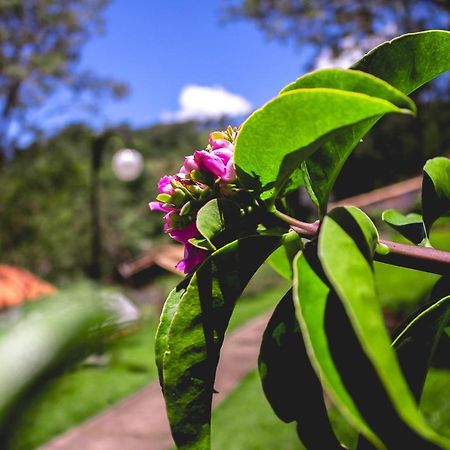 Pousada Recanto Dos Beija Flores Monte Alegre do Sul Exterior photo